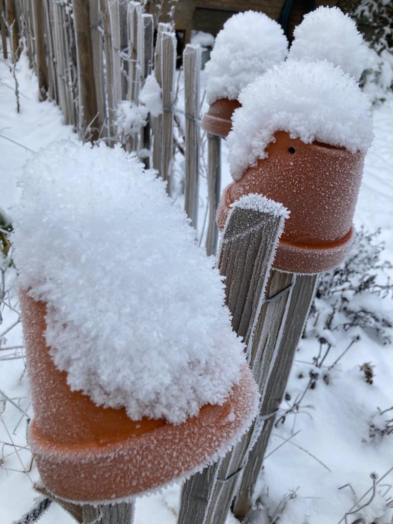 Staketenzaun mit Zaunhocker im Schnee
